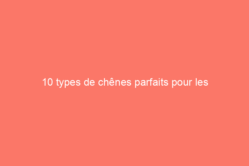 10 types de chênes parfaits pour les aménagements paysagers