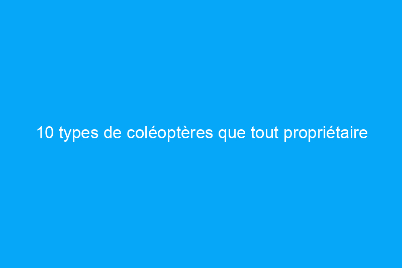 10 types de coléoptères que tout propriétaire doit connaître