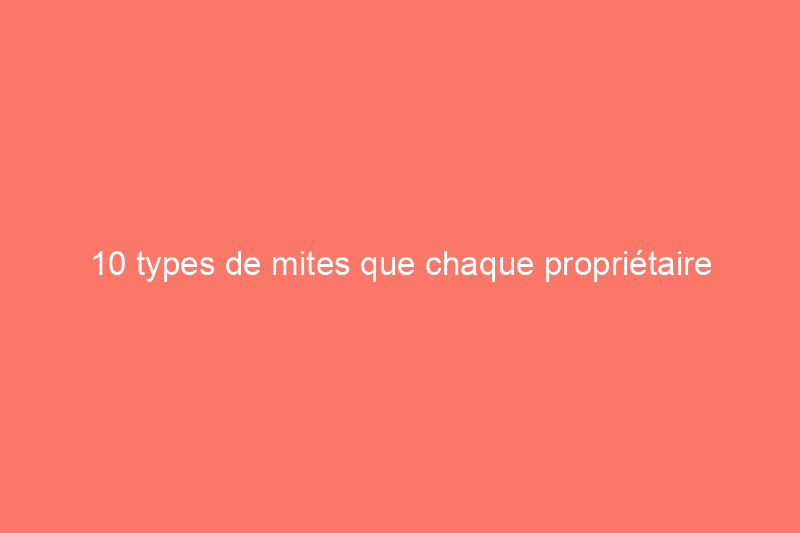 10 types de mites que chaque propriétaire devrait connaître