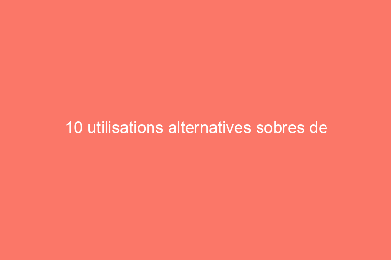 10 utilisations alternatives sobres de l'alcool à la maison