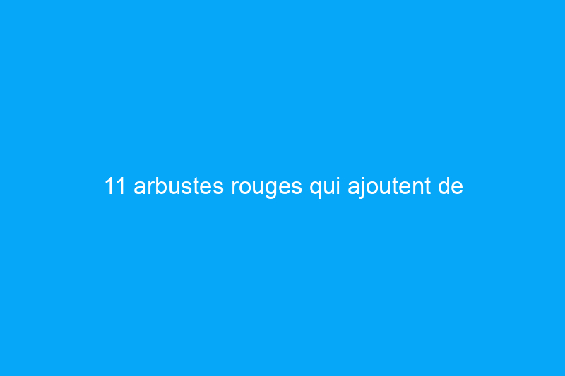 11 arbustes rouges qui ajoutent de l'intérêt aux paysages domestiques