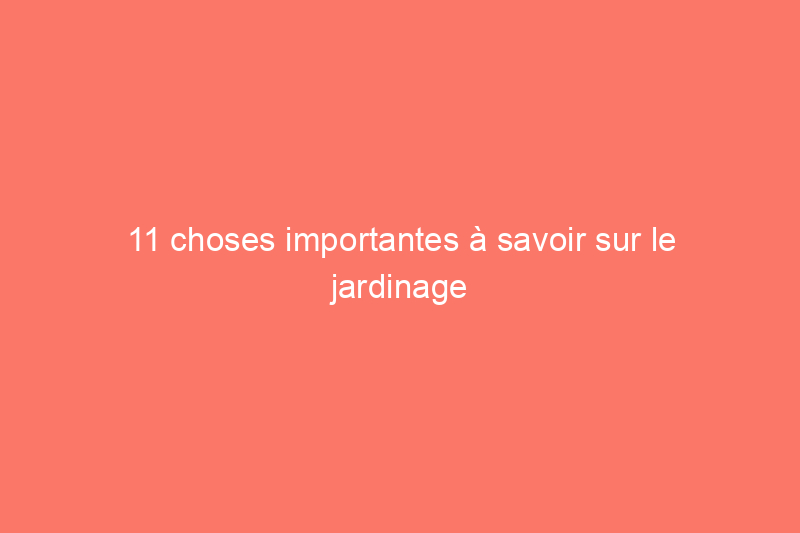 11 choses importantes à savoir sur le jardinage avec des sacs de culture