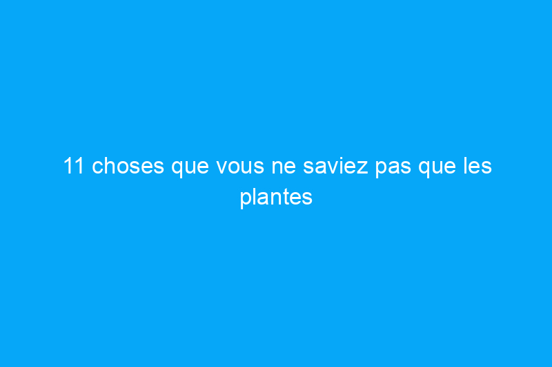 11 choses que vous ne saviez pas que les plantes d'intérieur adorent