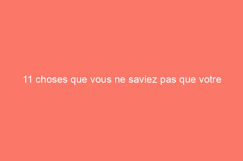 11 choses que vous ne saviez pas que votre nettoyeur à vapeur pouvait désinfecter