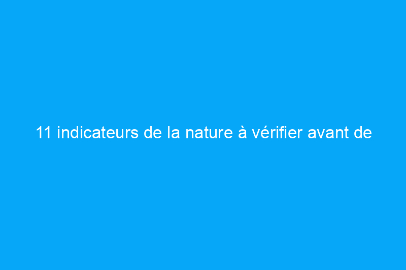 11 indicateurs de la nature à vérifier avant de partir en voyage à tout moment de l'année