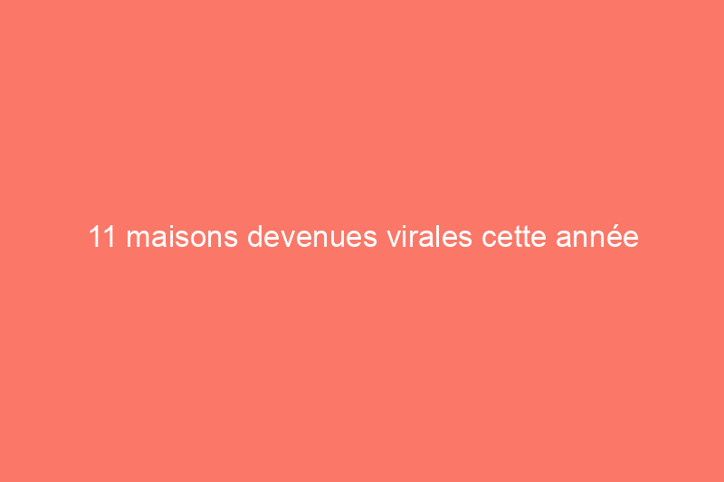 11 maisons devenues virales cette année