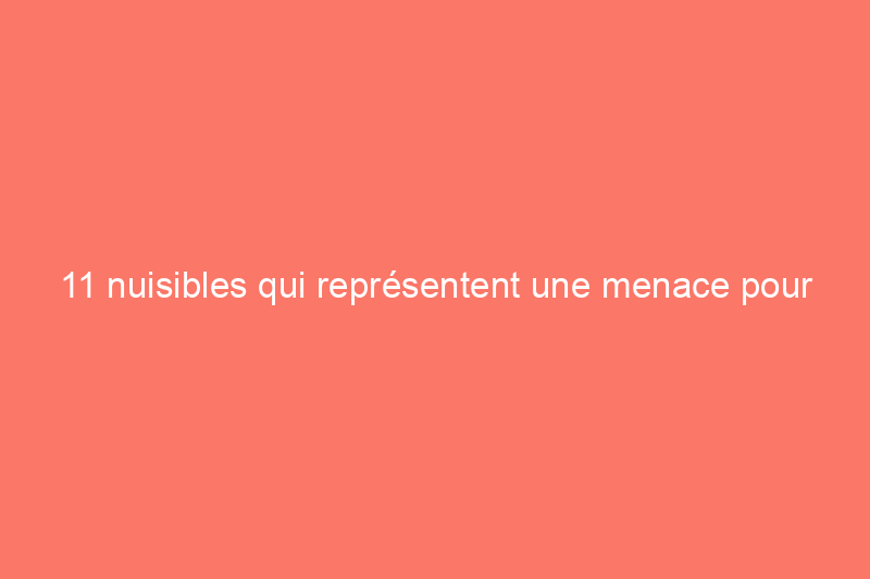 11 nuisibles qui représentent une menace pour vos animaux de compagnie