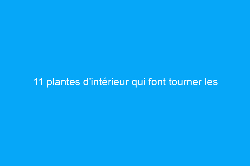 11 plantes d'intérieur qui font tourner les têtes et dont vous n'aurez pas l'impression qu'elles sont réelles