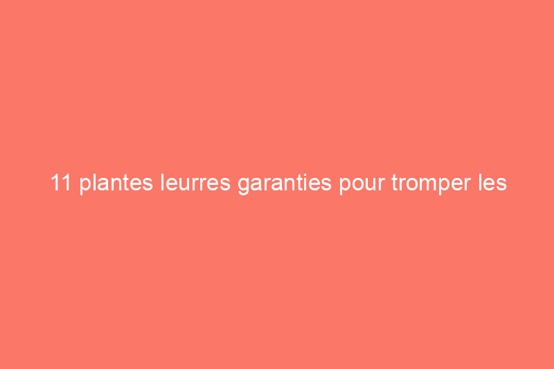 11 plantes leurres garanties pour tromper les nuisibles du jardin