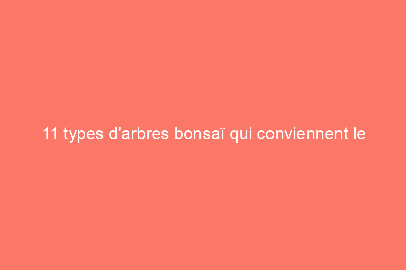 11 types d'arbres bonsaï qui conviennent le mieux aux débutants