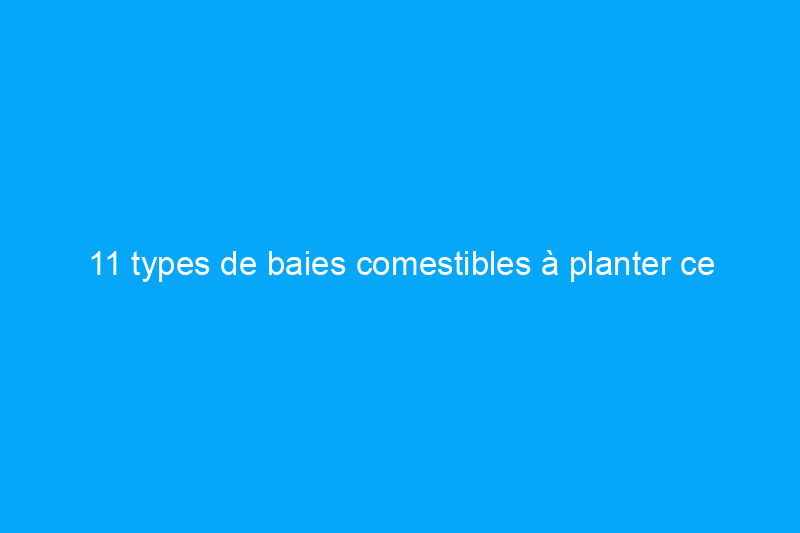 11 types de baies comestibles à planter ce printemps