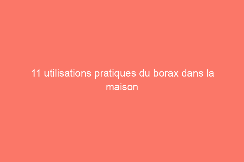 11 utilisations pratiques du borax dans la maison