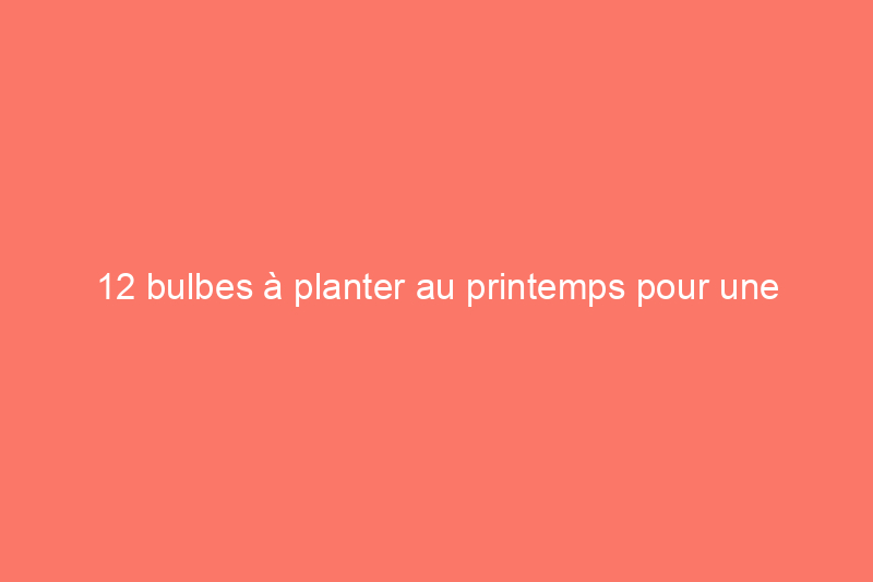 12 bulbes à planter au printemps pour une floraison estivale époustouflante