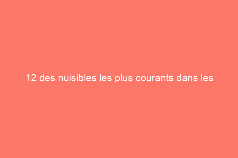 12 des nuisibles les plus courants dans les jardins, dont 8 des insectes les plus destructeurs