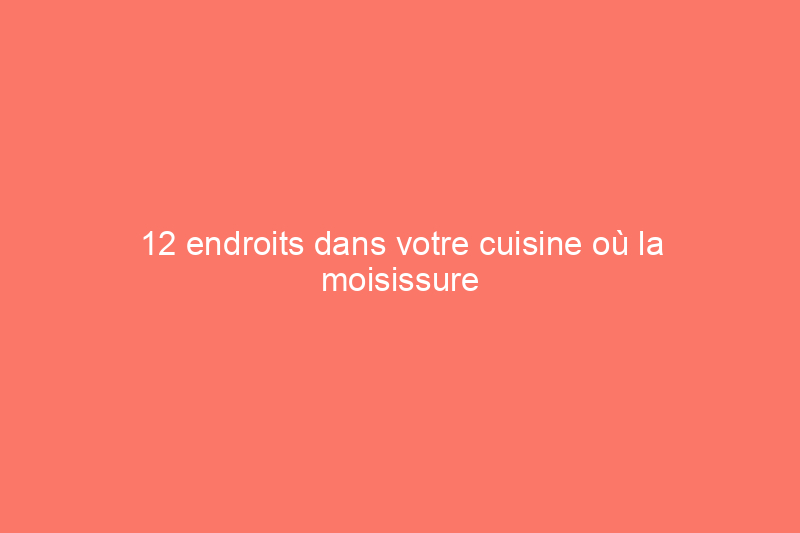 12 endroits dans votre cuisine où la moisissure pourrait se cacher