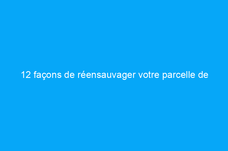 12 façons de réensauvager votre parcelle de banlieue