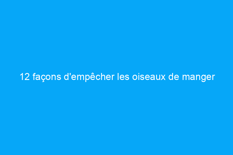 12 façons d'empêcher les oiseaux de manger les baies de votre jardin