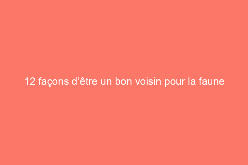 12 façons d’être un bon voisin pour la faune de votre jardin