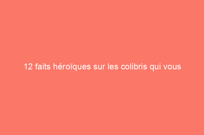 12 faits héroïques sur les colibris qui vous donneront envie d'en voir davantage dans votre jardin