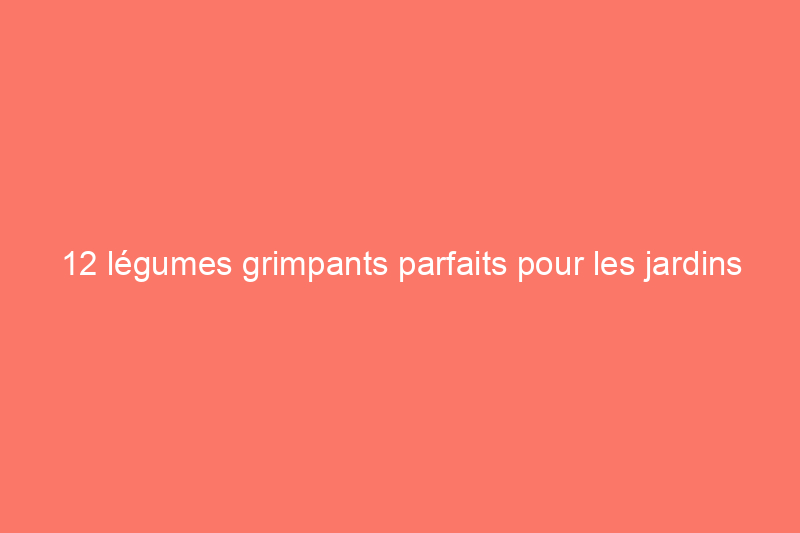 12 légumes grimpants parfaits pour les jardins compacts