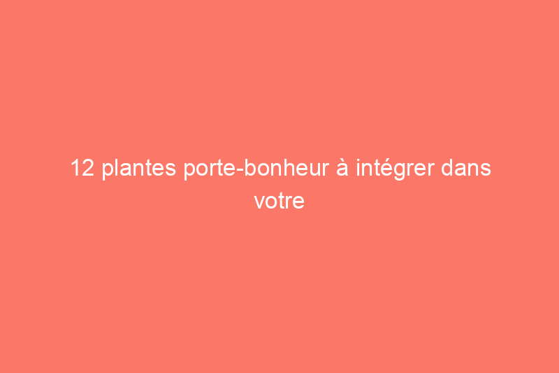 12 plantes porte-bonheur à intégrer dans votre maison