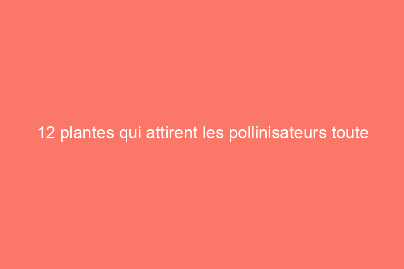 12 plantes qui attirent les pollinisateurs toute l’année