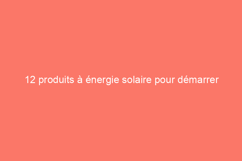 12 produits à énergie solaire pour démarrer l'année de manière durable