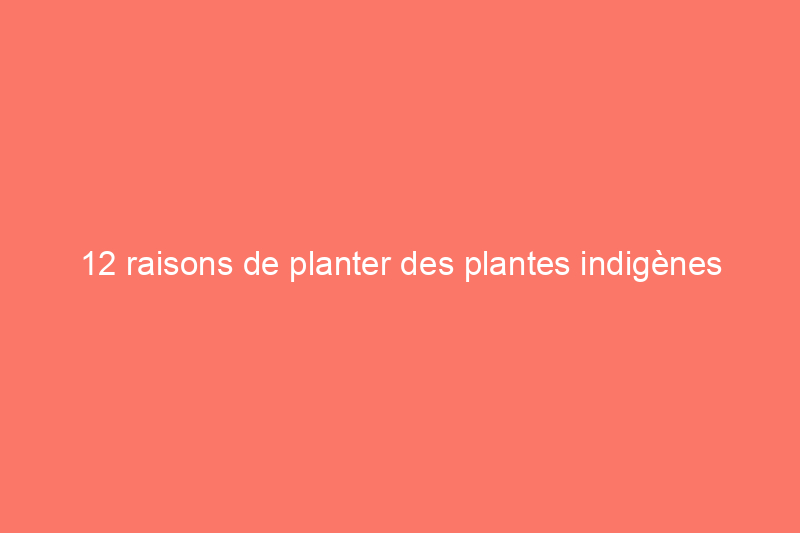 12 raisons de planter des plantes indigènes plutôt que des plantes non indigènes