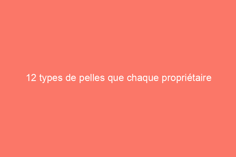 12 types de pelles que chaque propriétaire devrait connaître