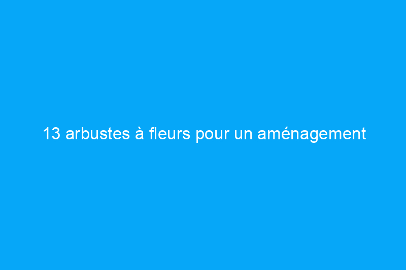 13 arbustes à fleurs pour un aménagement paysager intérieur des plus accrocheurs