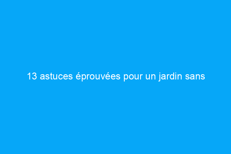 13 astuces éprouvées pour un jardin sans insectes