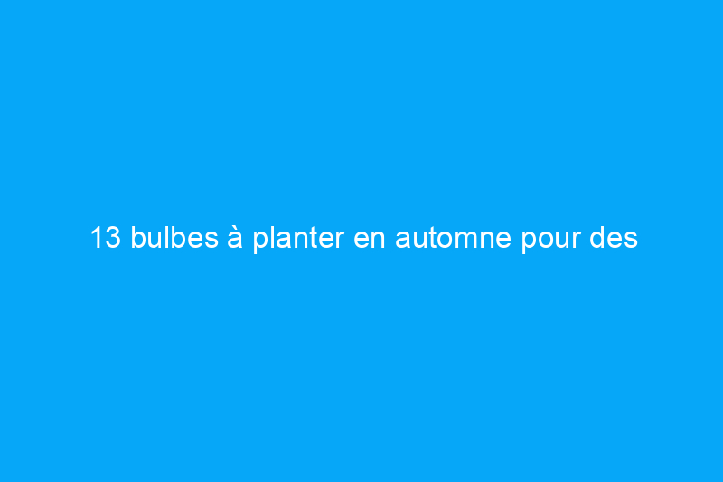 13 bulbes à planter en automne pour des récoltes et des couleurs printanières