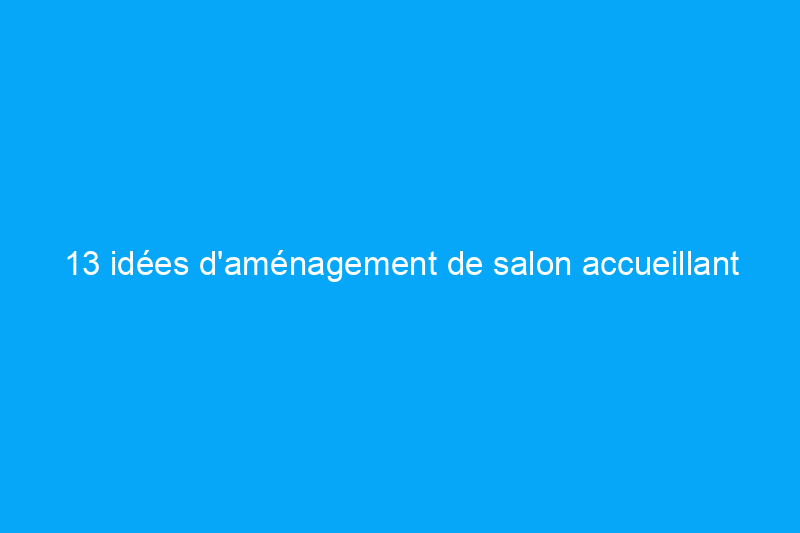 13 idées d'aménagement de salon accueillant