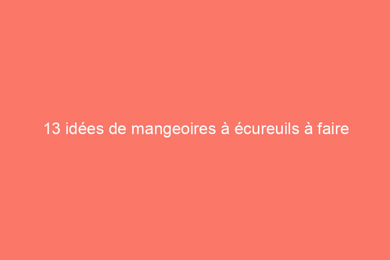 13 idées de mangeoires à écureuils à faire soi-même pour votre jardin