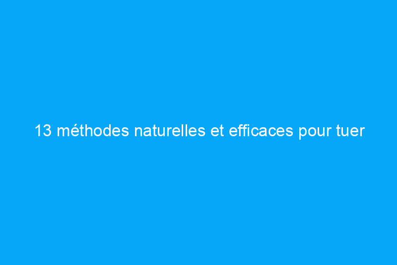 13 méthodes naturelles et efficaces pour tuer les mauvaises herbes