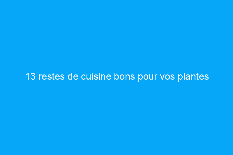 13 restes de cuisine bons pour vos plantes