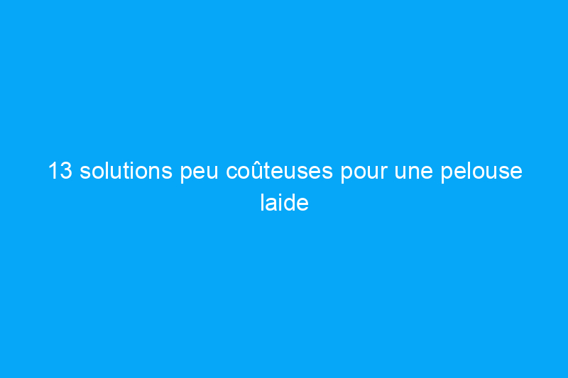 13 solutions peu coûteuses pour une pelouse laide