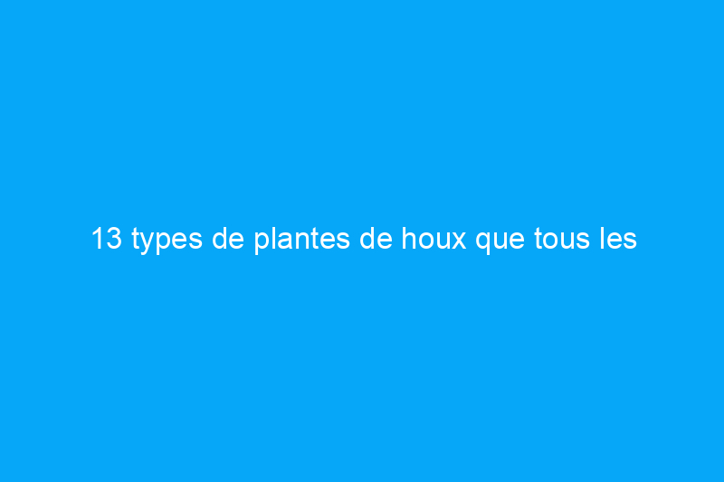 13 types de plantes de houx que tous les paysagistes amateurs devraient connaître