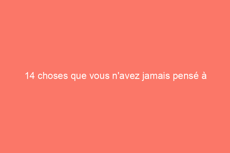 14 choses que vous n'avez jamais pensé à garder dans votre voiture