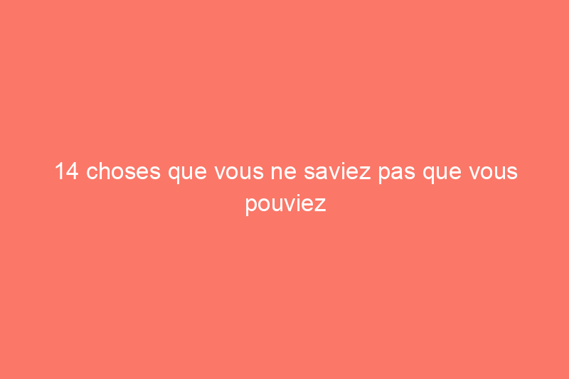 14 choses que vous ne saviez pas que vous pouviez faire avec Windex