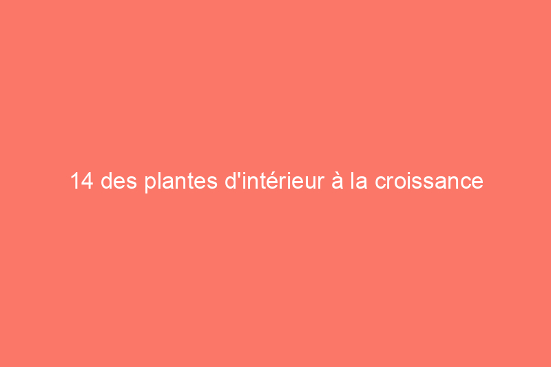 14 des plantes d'intérieur à la croissance la plus rapide pour un jardin d'intérieur presque instantané