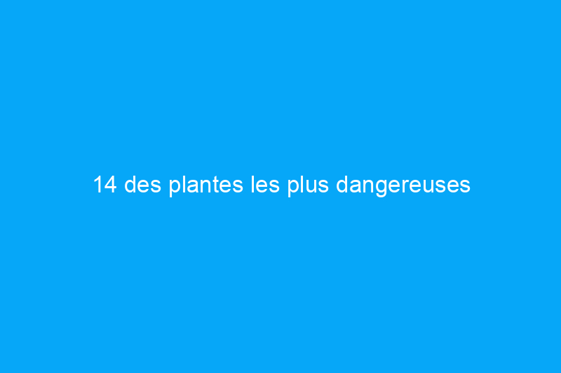 14 des plantes les plus dangereuses d'Amérique