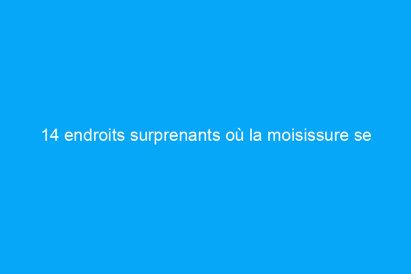 14 endroits surprenants où la moisissure se cache dans la maison