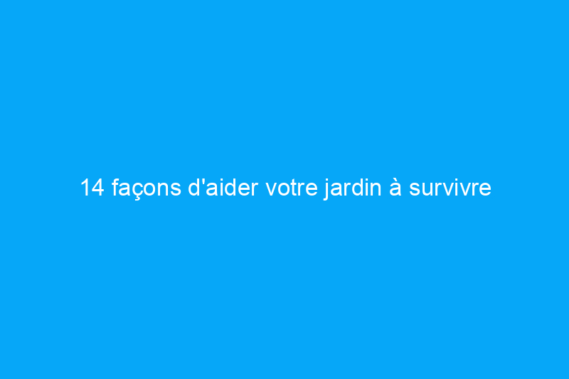 14 façons d'aider votre jardin à survivre à une vague de chaleur