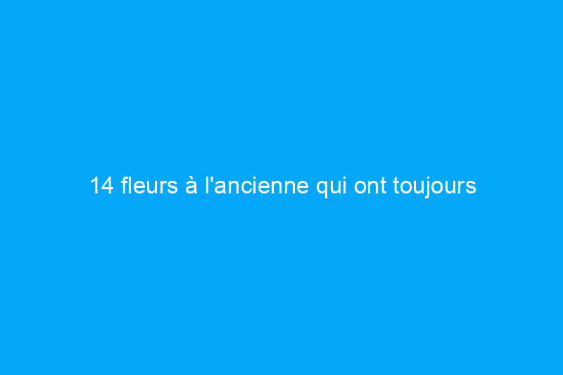 14 fleurs à l'ancienne qui ont toujours fière allure dans les jardins familiaux d'aujourd'hui