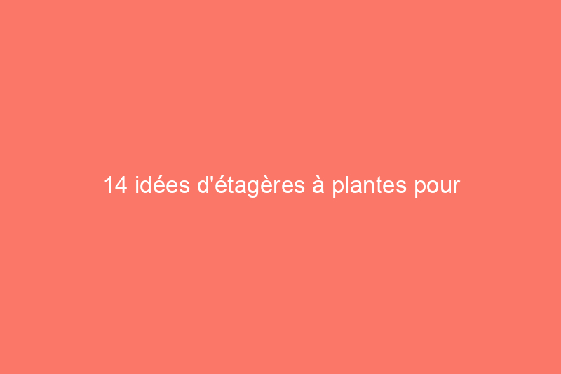 14 idées d'étagères à plantes pour égayer n'importe quel espace vide de votre maison