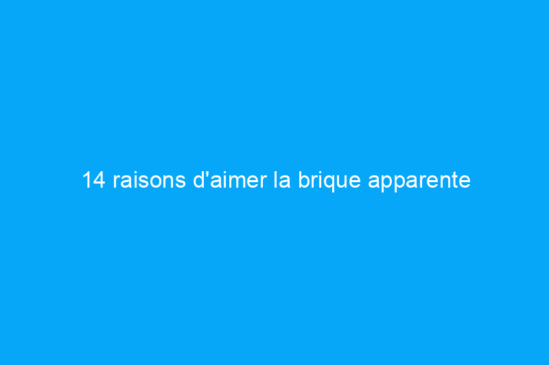 14 raisons d'aimer la brique apparente