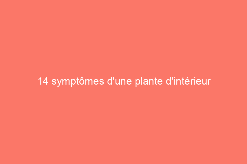 14 symptômes d'une plante d'intérieur malheureuse (et comment les traiter)