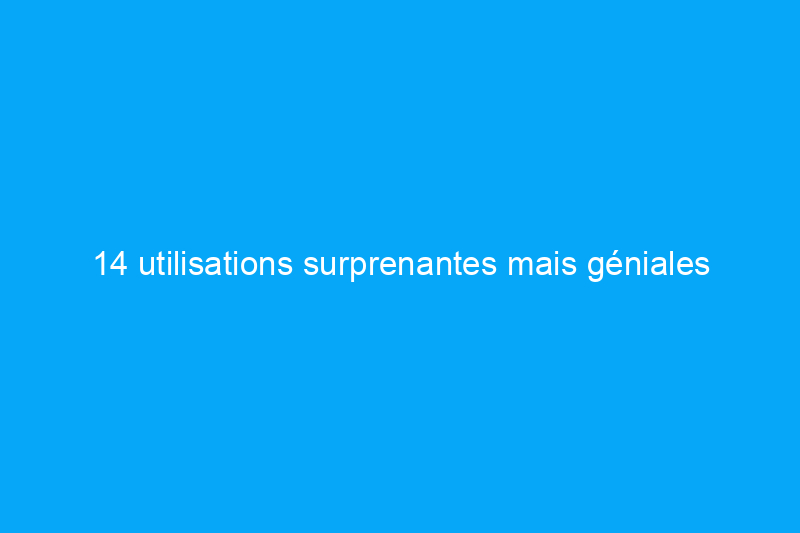 14 utilisations surprenantes mais géniales d'une mijoteuse