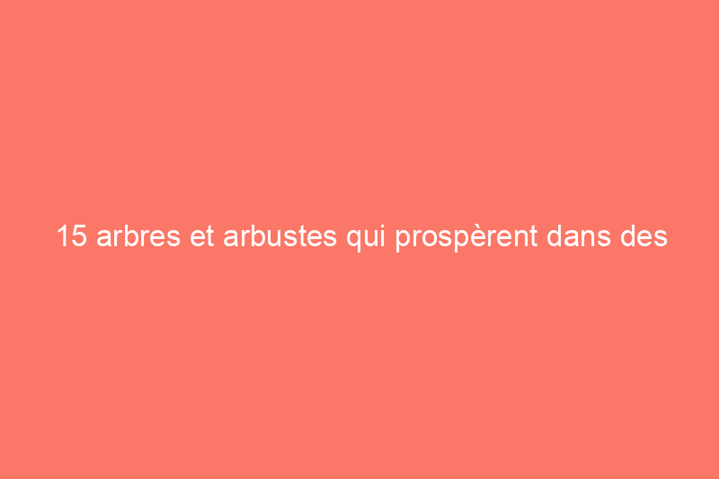 15 arbres et arbustes qui prospèrent dans des conteneurs